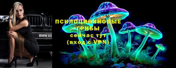 стафф Краснослободск