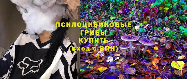 стафф Краснослободск