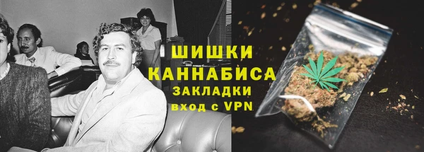 стафф Краснослободск