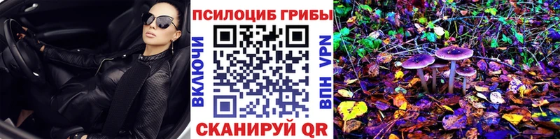 Галлюциногенные грибы Psilocybine cubensis  Яхрома 